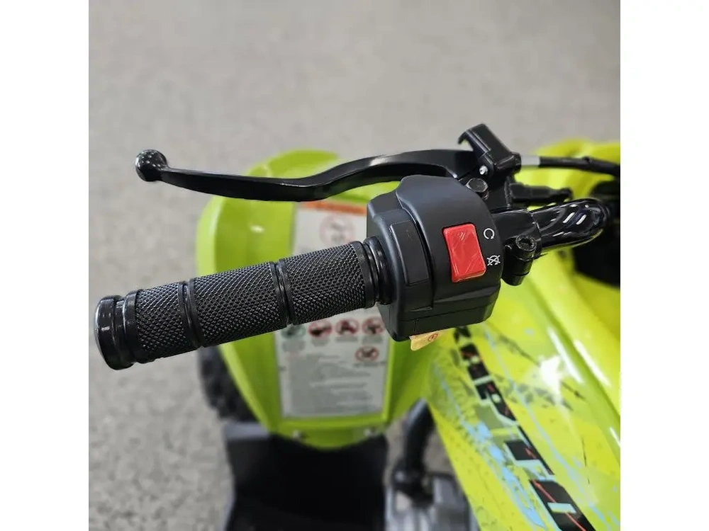 2026 Yamaha Raptor 110 alt