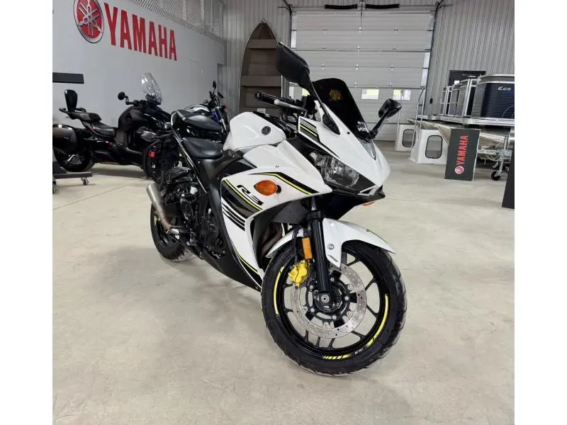2017 Yamaha R3
