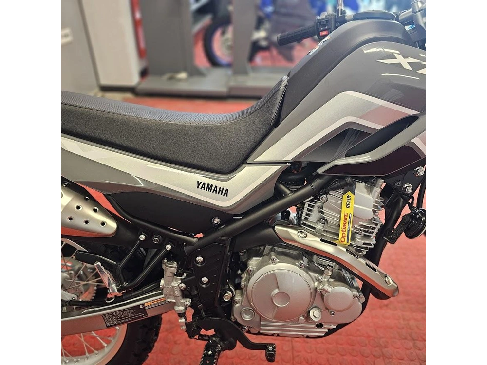2025 Yamaha Xt 250 alt