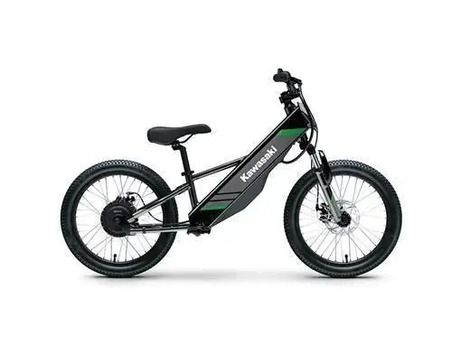 2025 Kawasaki ELEKTRODE 20 thumbnail 2