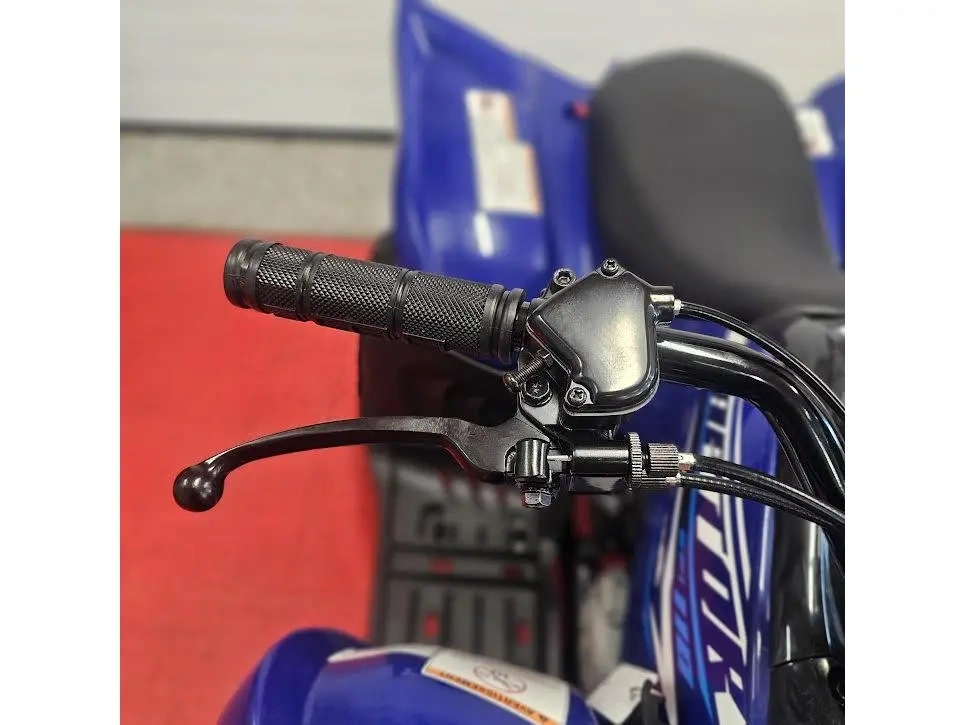 2026 Yamaha Raptor 110 alt