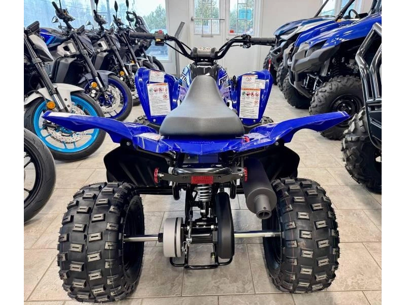 Yamaha Raptor 110 2026 alt