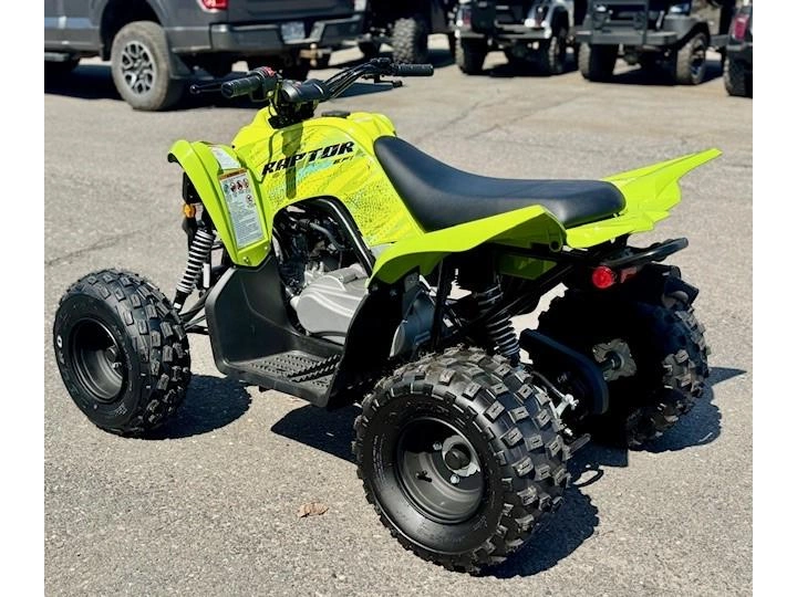 Yamaha Raptor 110 2026 alt