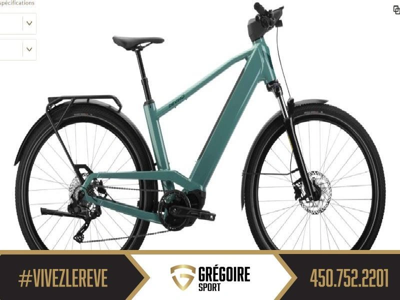 Devinci E-cartier Ep6 9s 2025 alt