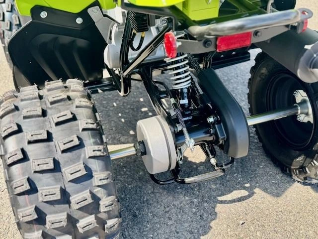 Yamaha Raptor 110 2026 alt