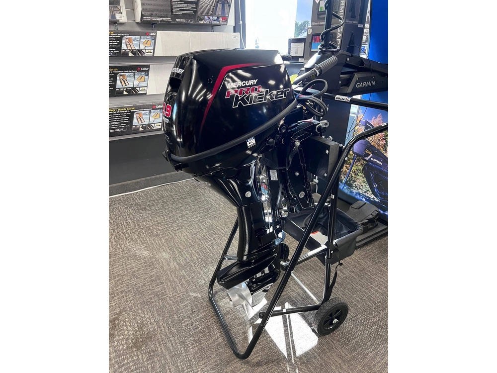 2024 Mercury 9.9 Elhpt Ct 4s alt