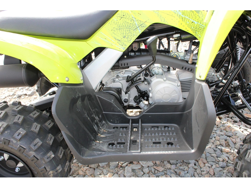 2026 Yamaha Raptor 110 alt