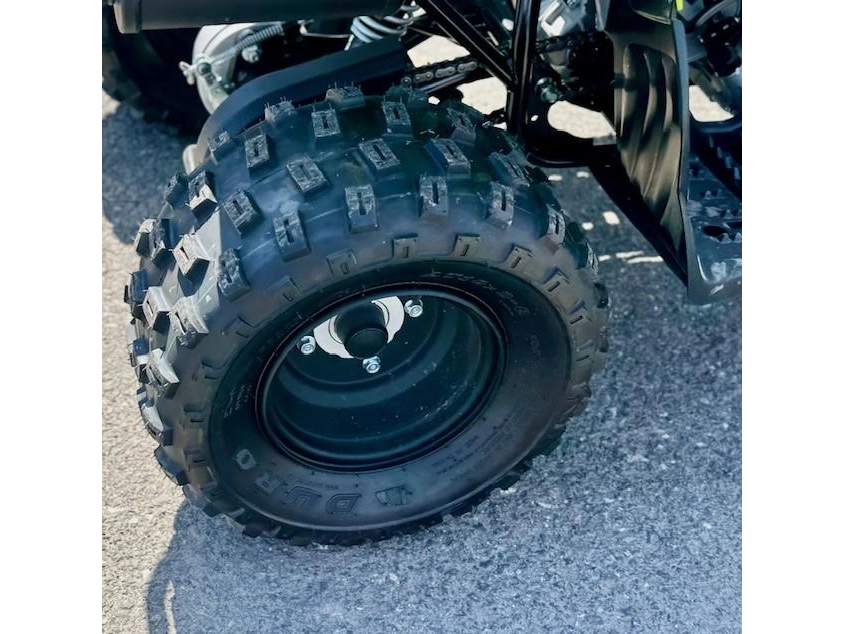 Yamaha Raptor 110 2026 alt