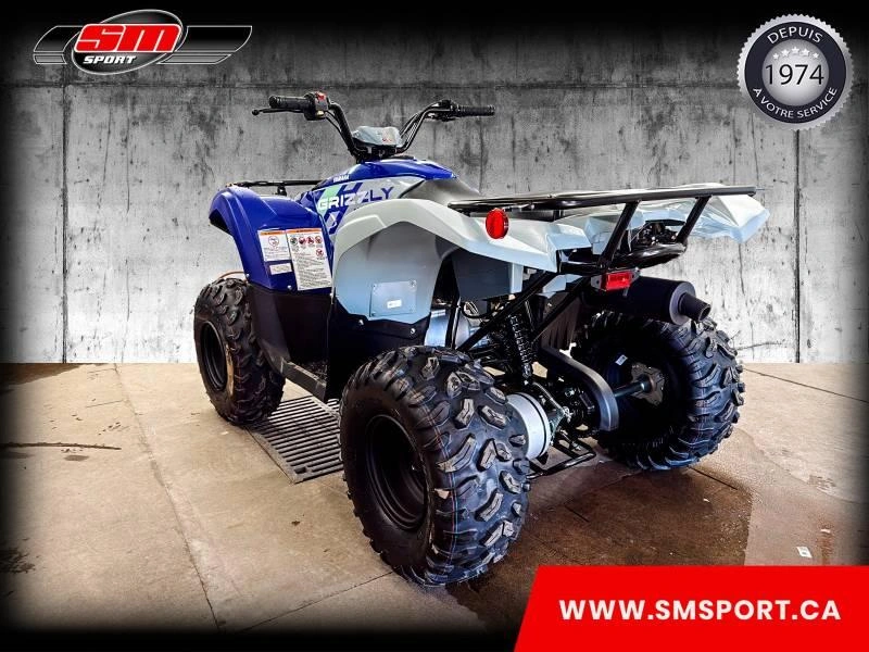 Yamaha Grizzly 110 2026 alt