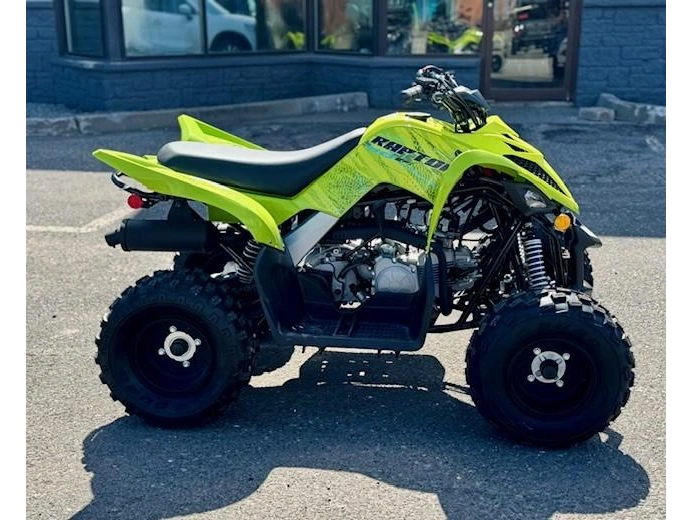 Yamaha Raptor 110 2026 alt