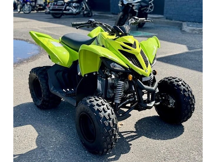 Yamaha Raptor 110 2026 alt