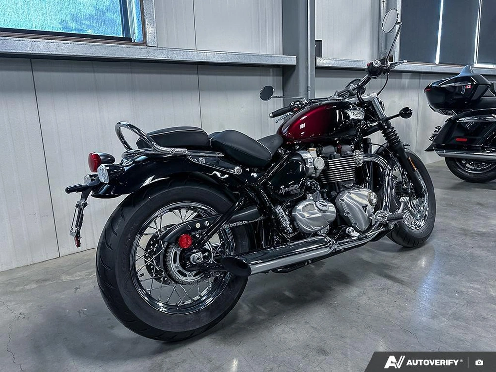 2024 Triumph 1200 Stealth alt