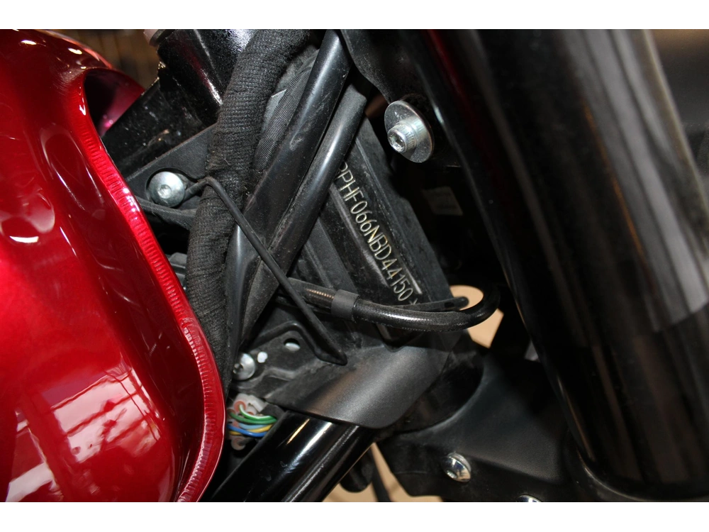 2022 Benelli Leoncinotr alt