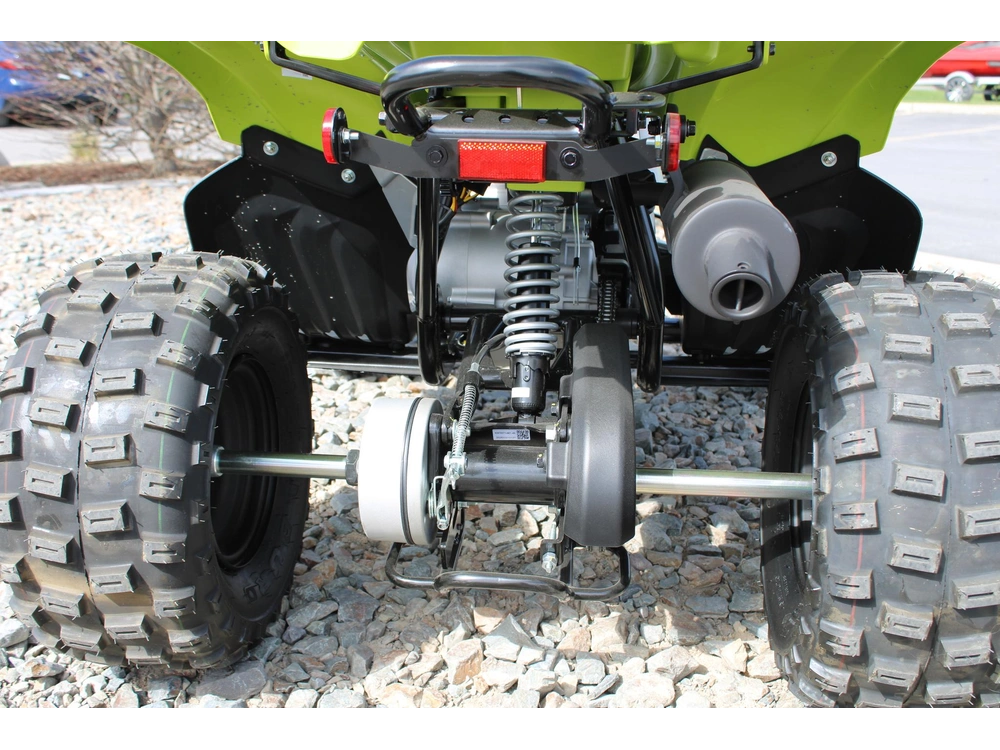 2026 Yamaha Raptor 110 alt