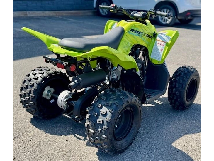 Yamaha Raptor 110 2026 alt