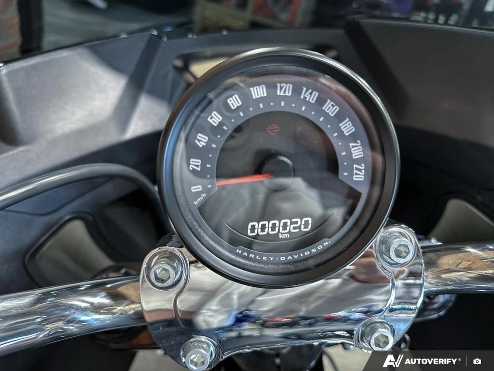 2026 Harley-davidson Low Rider St alt