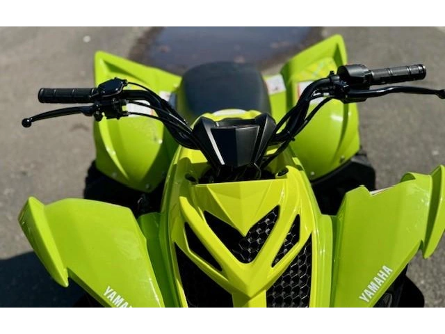 Yamaha Raptor 110 2026 alt