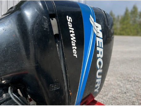 Mercury 225xxl Optimax 2005 alt