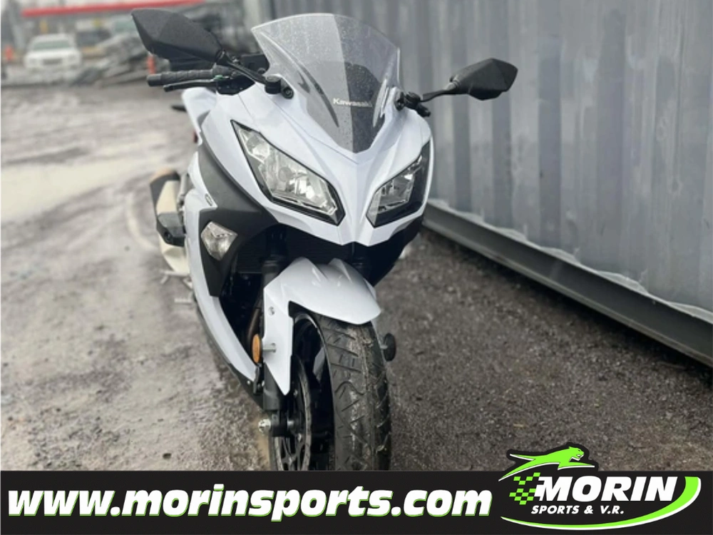 Kawasaki Ninja 300 2014 alt