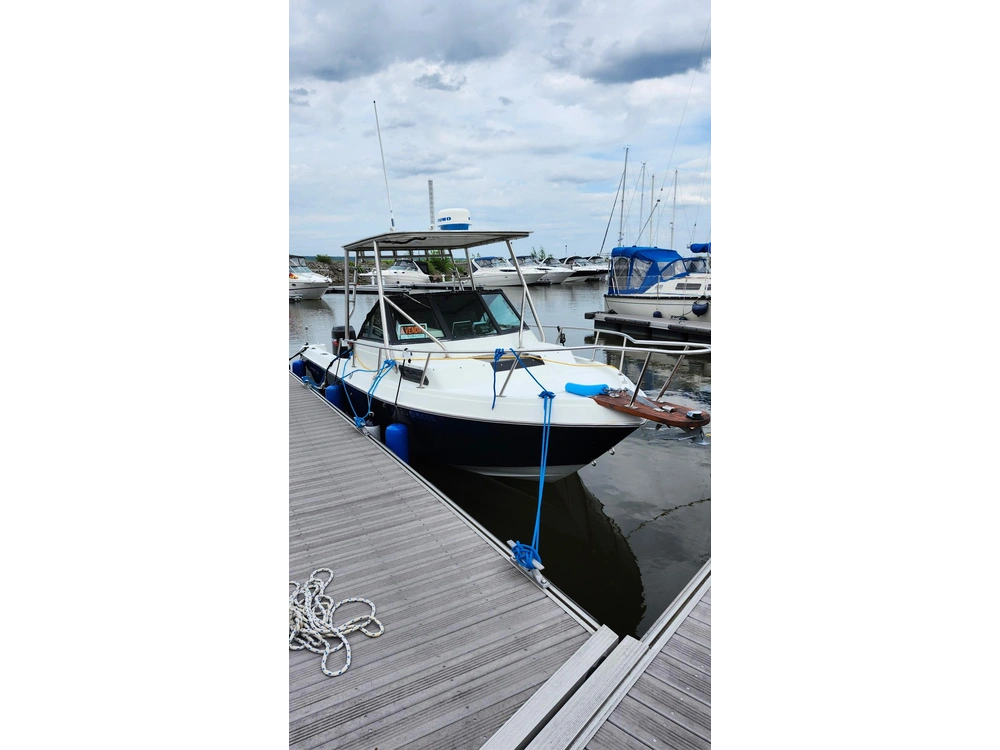 Chaparral 234 Fisherman 1989 alt