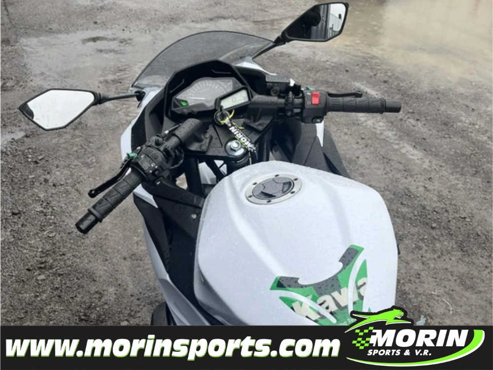 Kawasaki Ninja 300 2014 alt