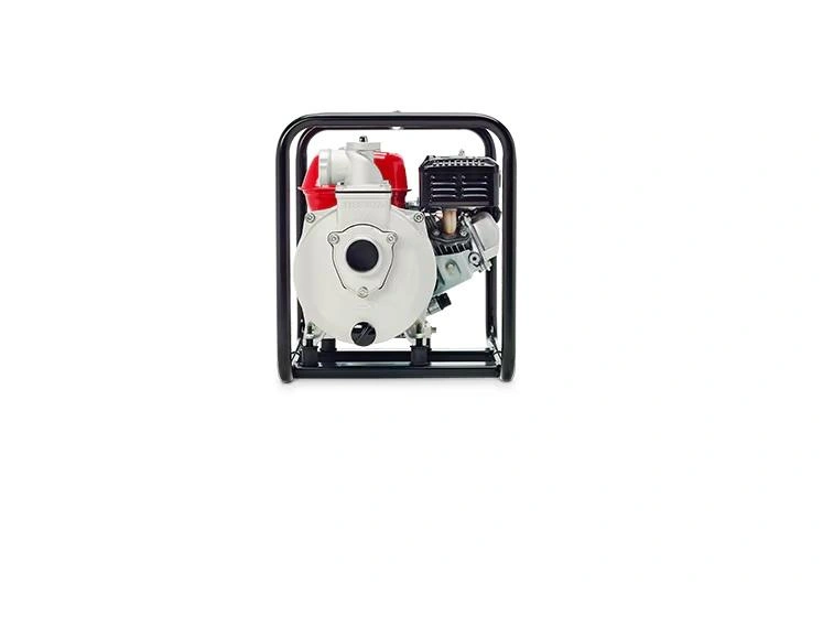 Honda Wb20xt4c None alt