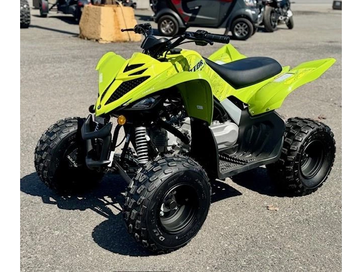 Yamaha Raptor 110 2026 alt