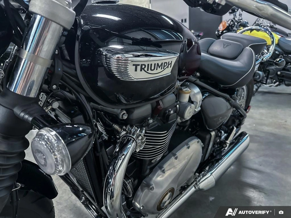 2024 Triumph 1200 Stealth alt