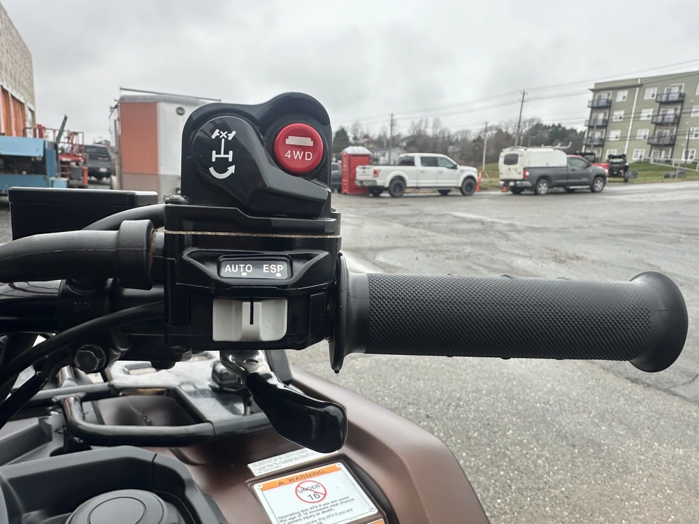 2021 Honda Rubicon Eps Trx520 alt