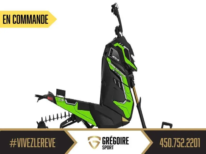 2027 Arctic Cat Ws 250 alt