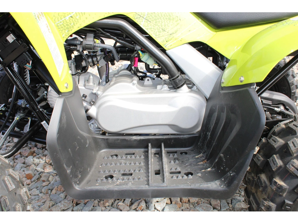 2026 Yamaha Raptor 110 alt