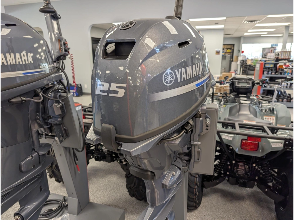2024 Yamaha F25 F25swthc alt