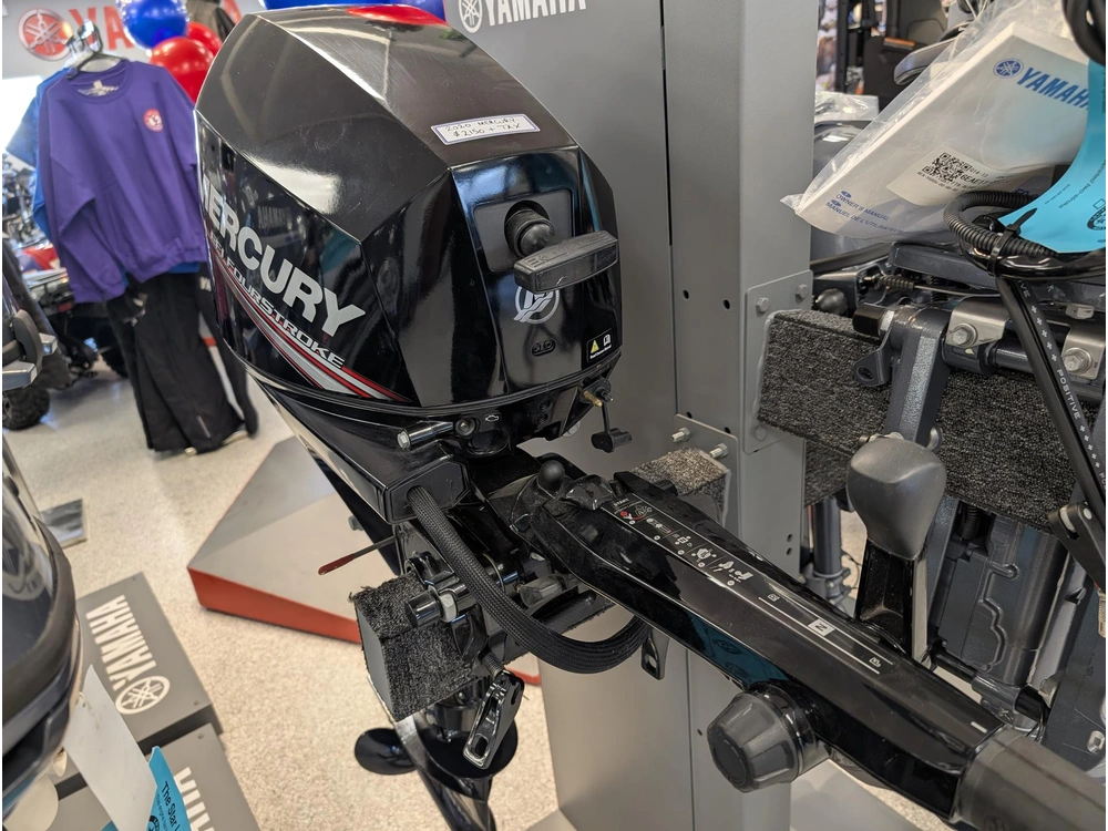 2020 Mercury F15mlh alt