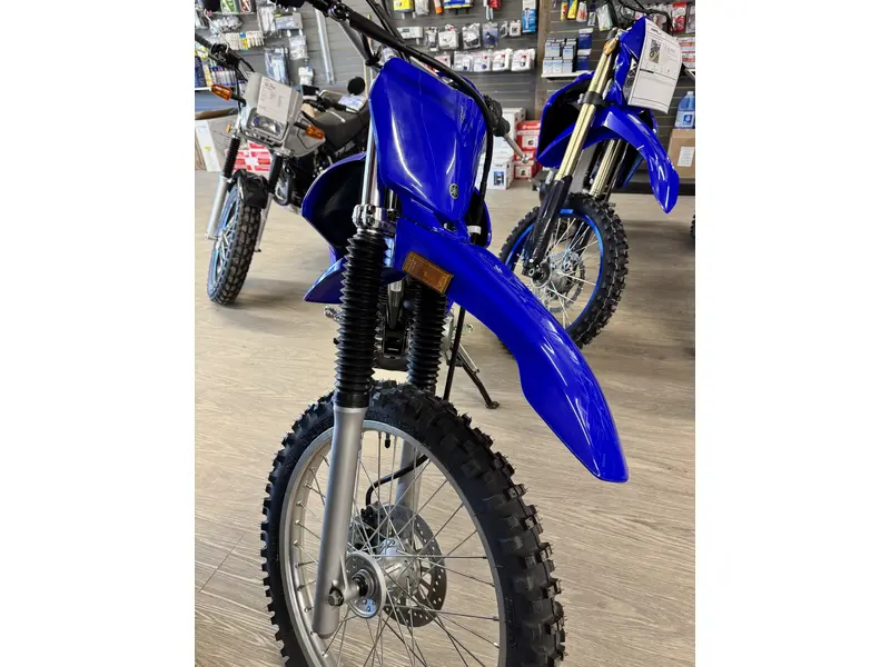 2026 Yamaha TTR230T1 thumbnail 4