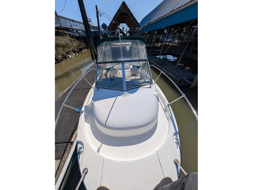 2005 Trophy Boats 1902 Walkaround Walkaround alt
