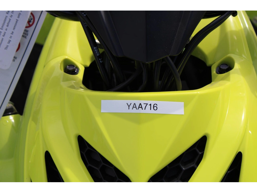 2026 Yamaha Raptor 110 alt