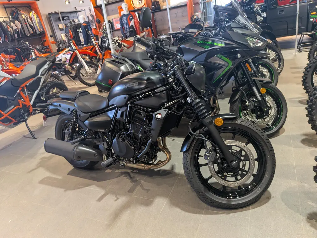 2025 Kawasaki Eliminator 500