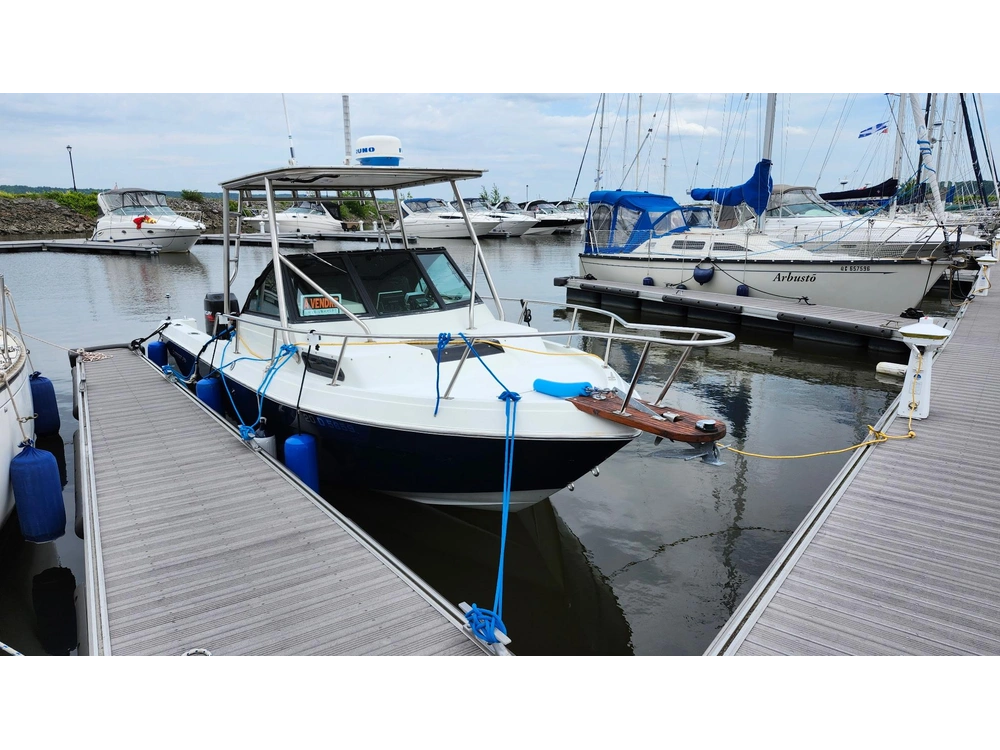 Chaparral 234 Fisherman 1989 alt