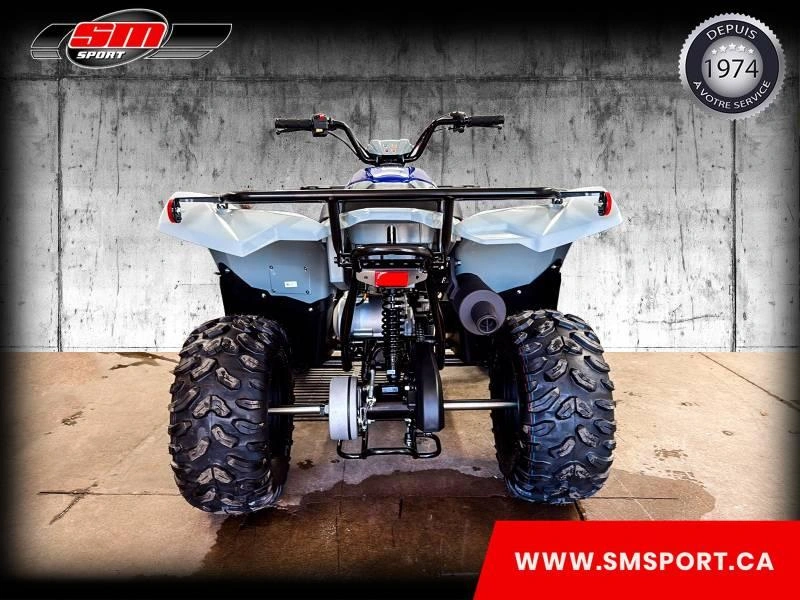 Yamaha Grizzly 110 2026 alt