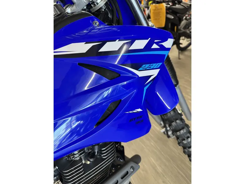 2026 Yamaha TTR230T1 thumbnail 7