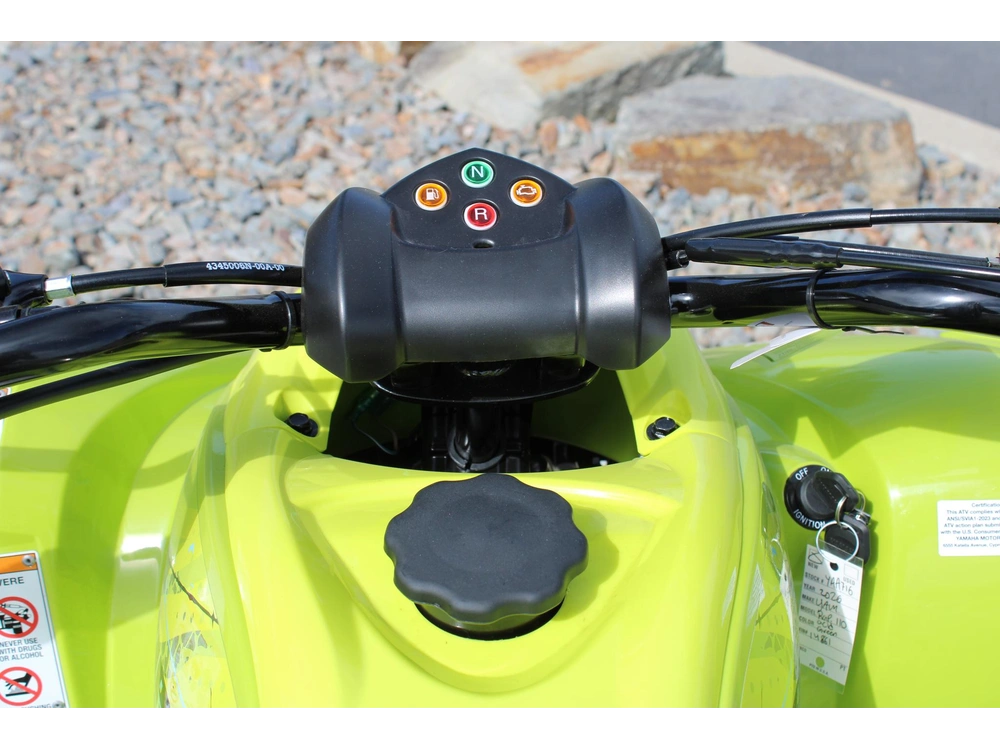 2026 Yamaha Raptor 110 alt