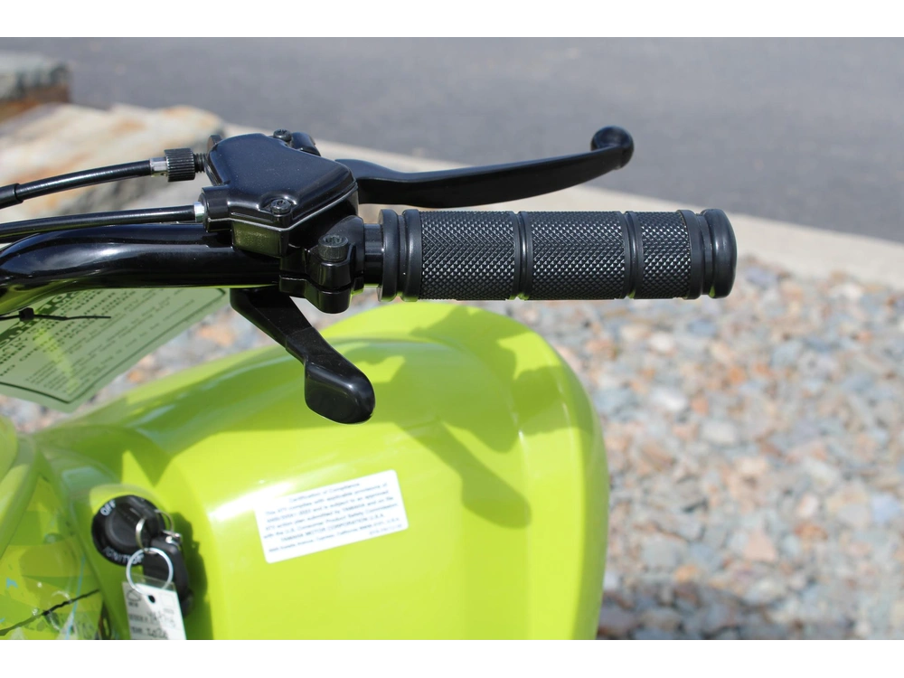 2026 Yamaha Raptor 110 alt