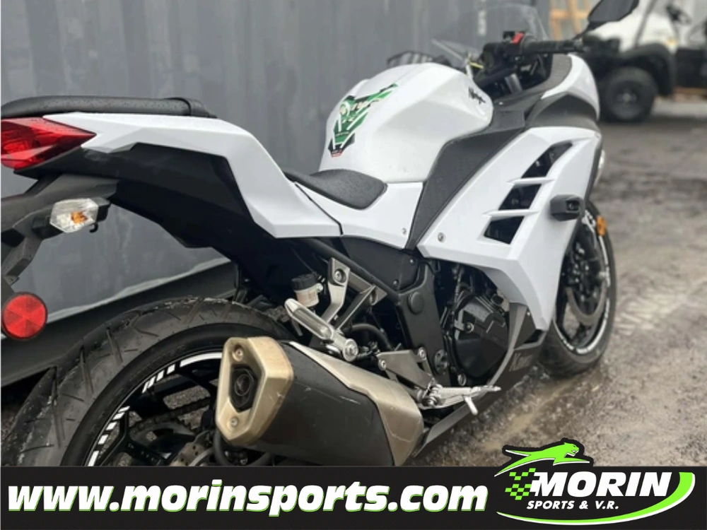 Kawasaki Ninja 300 2014 alt