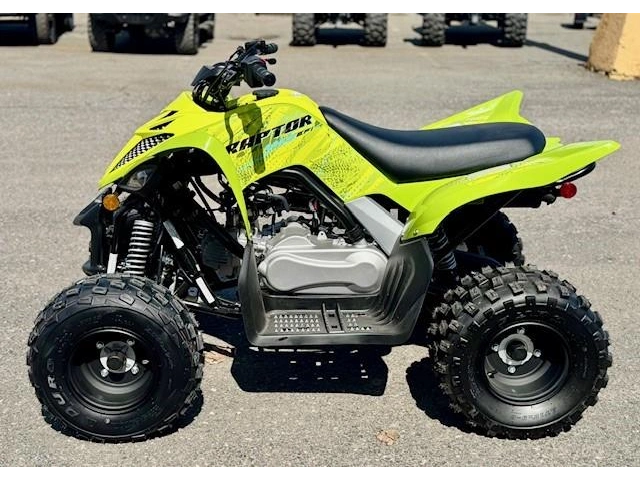 Yamaha Raptor 110 2026 alt