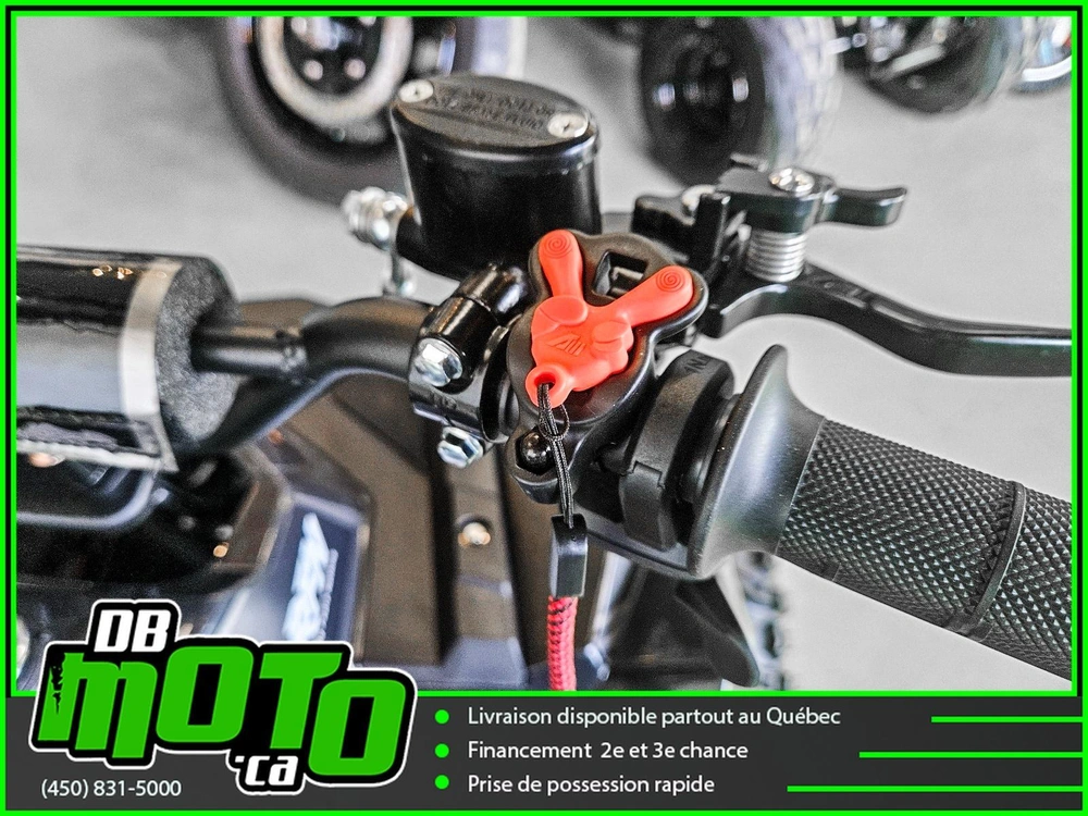 Rfn E-1000 2026 alt