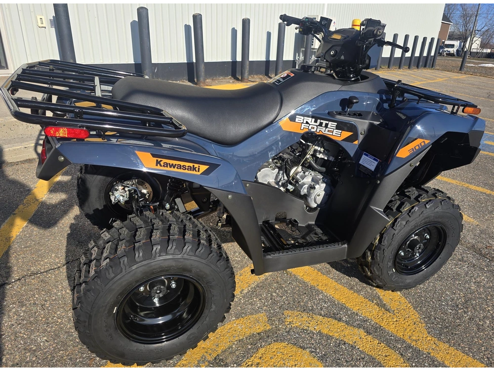2026 Kawasaki Brute Force 300 alt