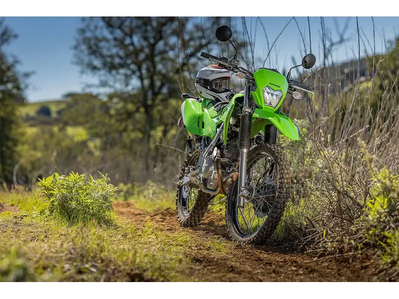 2025 Kawasaki KLX230 thumbnail 2