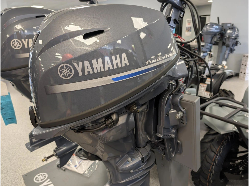 2024 Yamaha F25 F25swthc alt