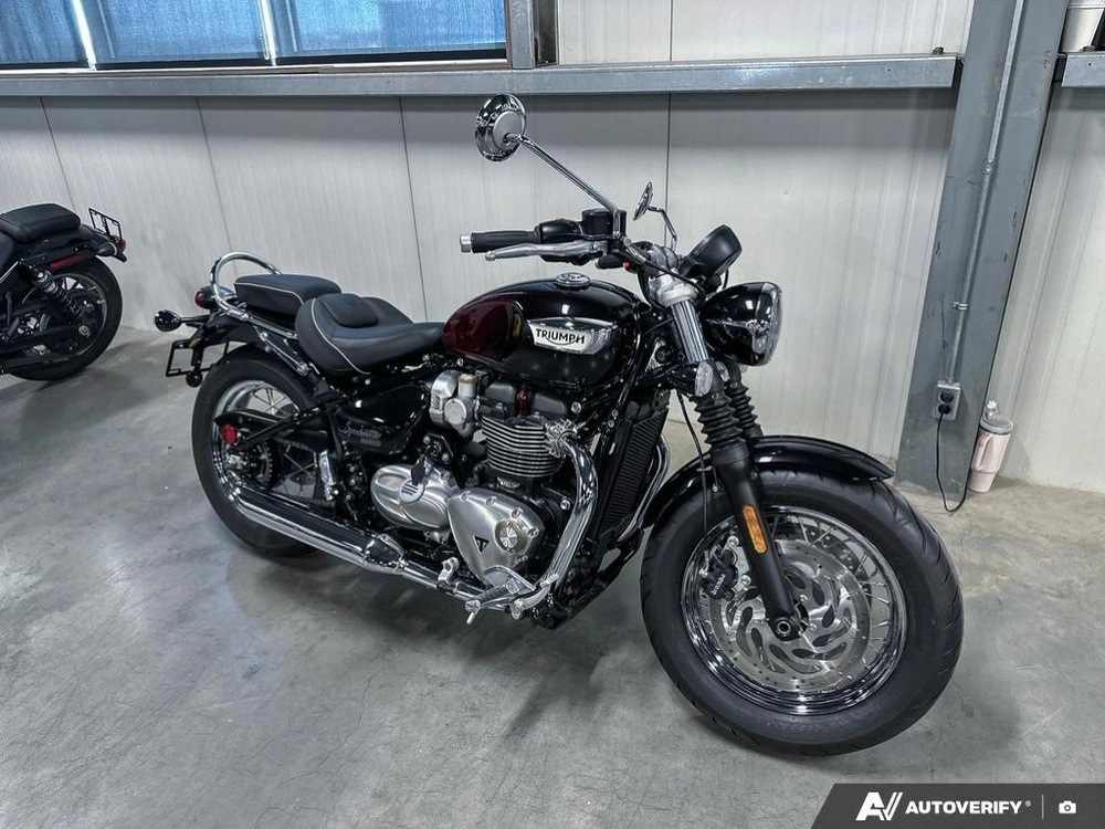 2024 Triumph 1200 Stealth alt