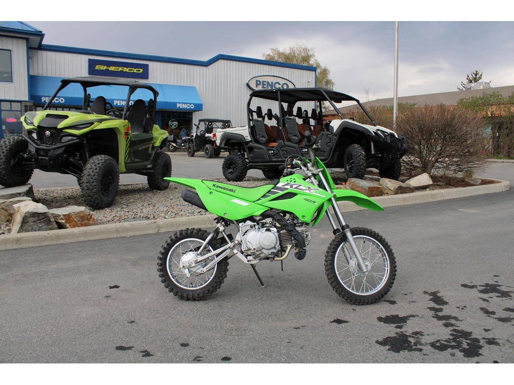 2025 Kawasaki Klx® 110r L alt